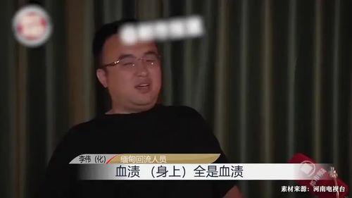 缅北电信真实爆料视频,真实爆料视频背后的黑暗真相